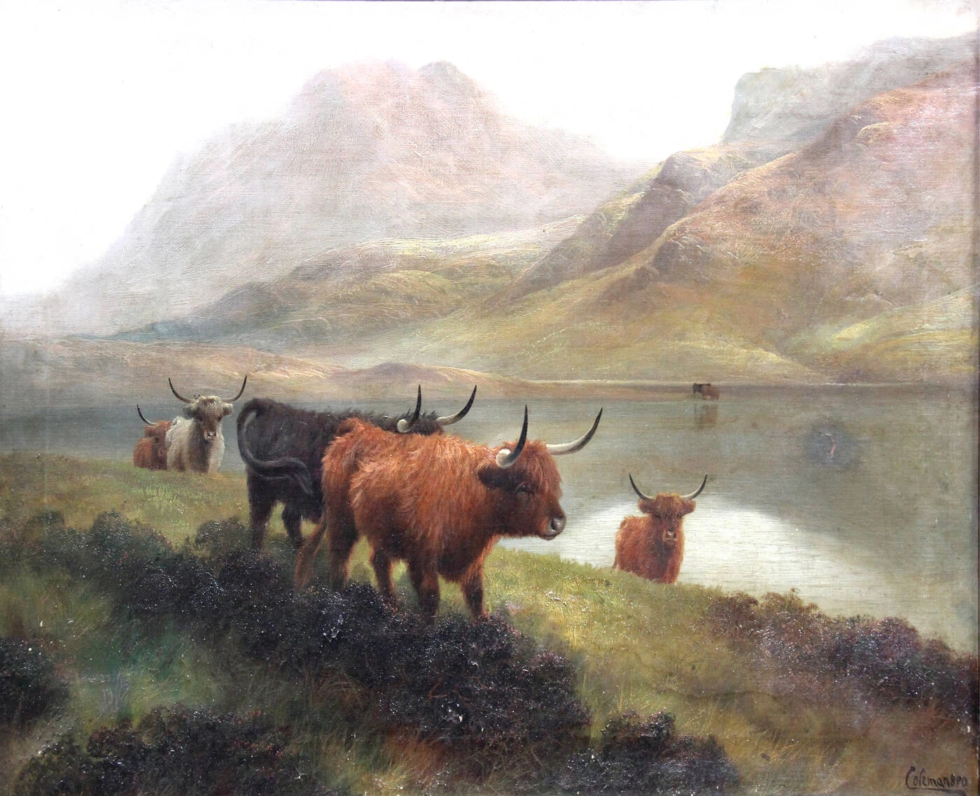 Pascolo